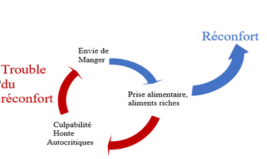 Trouble du réconfort